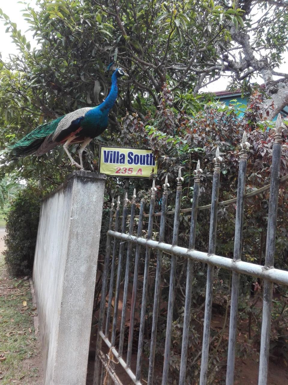Weligama Villa South Kültér fotó